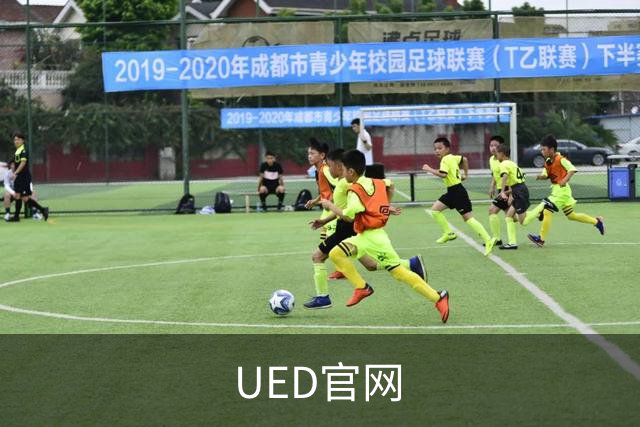 UED官网 公司简介